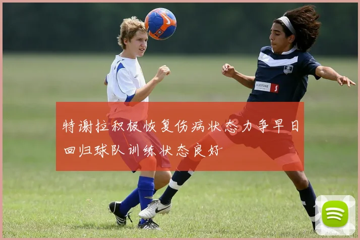 特谢拉积极恢复伤病状态力争早日回归球队训练状态良好