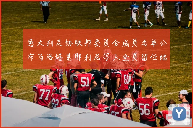 意大利足协联邦委员会成员名单公布马洛塔基耶利尼等人全员留任继续服务